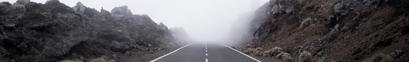 alberto-frias-olw0cp3VJV4-unsplash