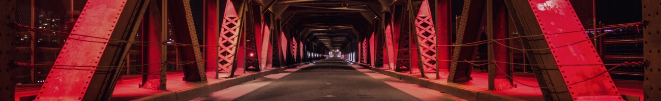 oleksandr-kurchev-PX1Bo0eA8AQ-unsplash