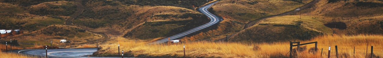 jesse-bowser-c0I4ahyGIkA-unsplash