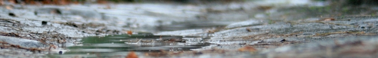 IMG 9501 PerfectlyClear