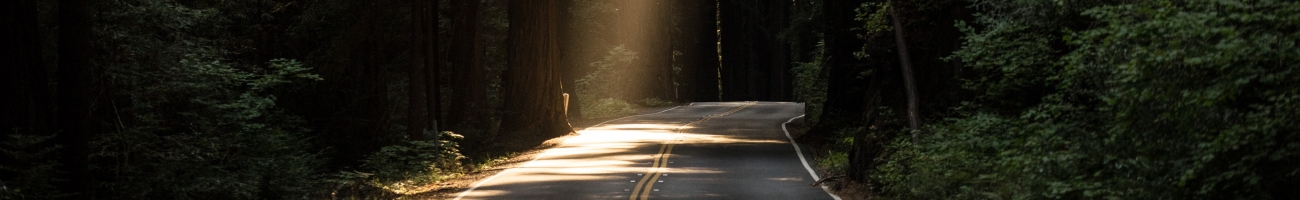 john-towner-3Kv48NS4WUU-unsplash