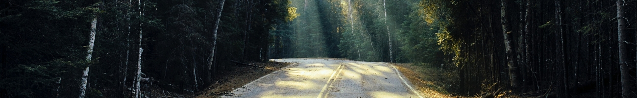 pranam-gurung-NSKdLjvfK1k-unsplash