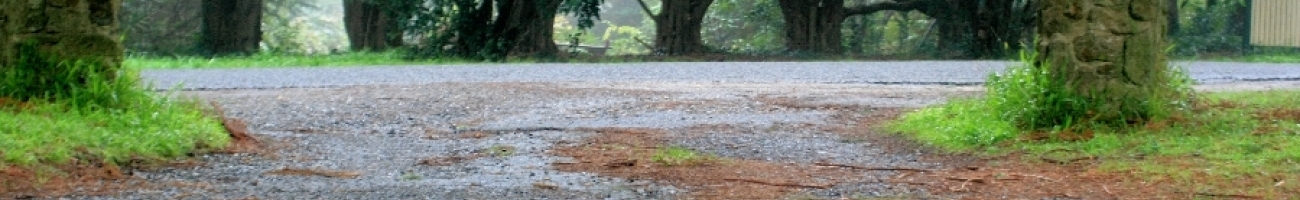 IMG 9475 PerfectlyClear