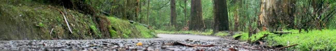 IMG 9487 PerfectlyClear